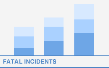 View Fatal Incident Graphs