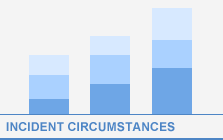 View Incident Circumstances Graphs
