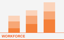 View Workforce Graphs